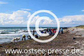 Nach kräftigen Winden findet man auch auf Hiddensee Bernstein und andere Strandschätze.