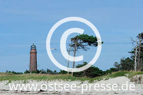 Ostsee Pressebild: Windflüchter und Leuchtturm